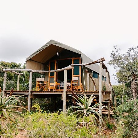 Woodbury Tented Camp - Amakhala Game Reserve Eksteriør billede