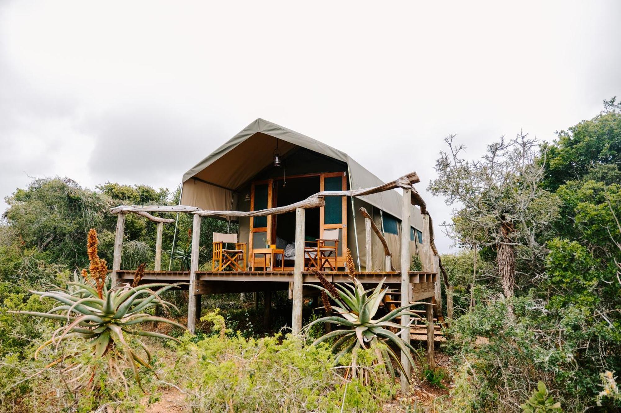 Woodbury Tented Camp - Amakhala Game Reserve Eksteriør billede