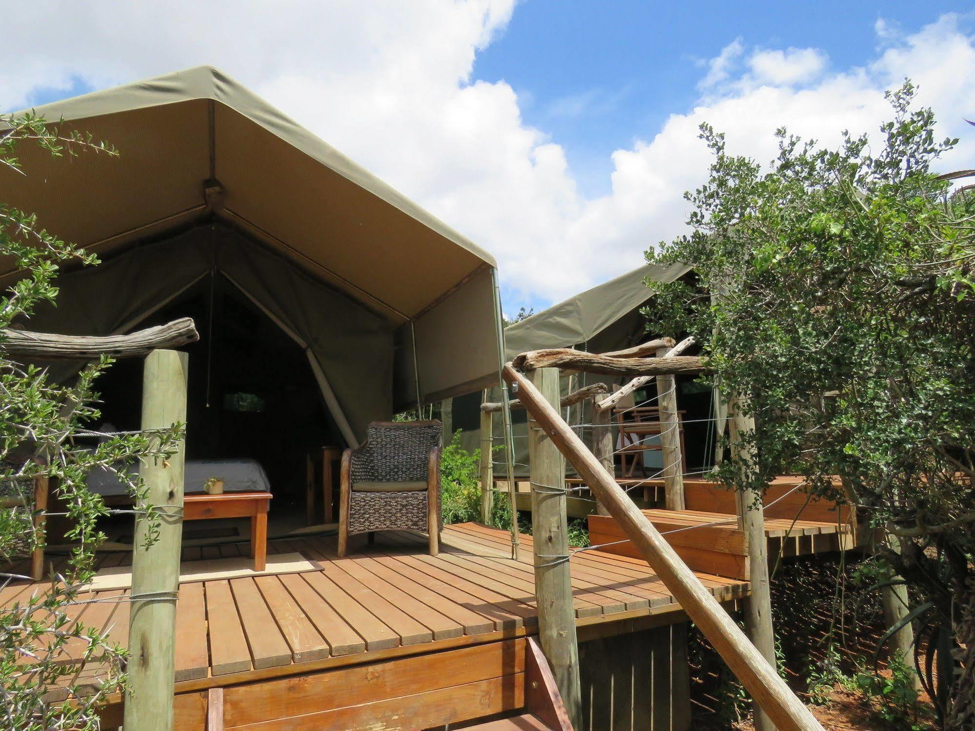 Woodbury Tented Camp - Amakhala Game Reserve Eksteriør billede