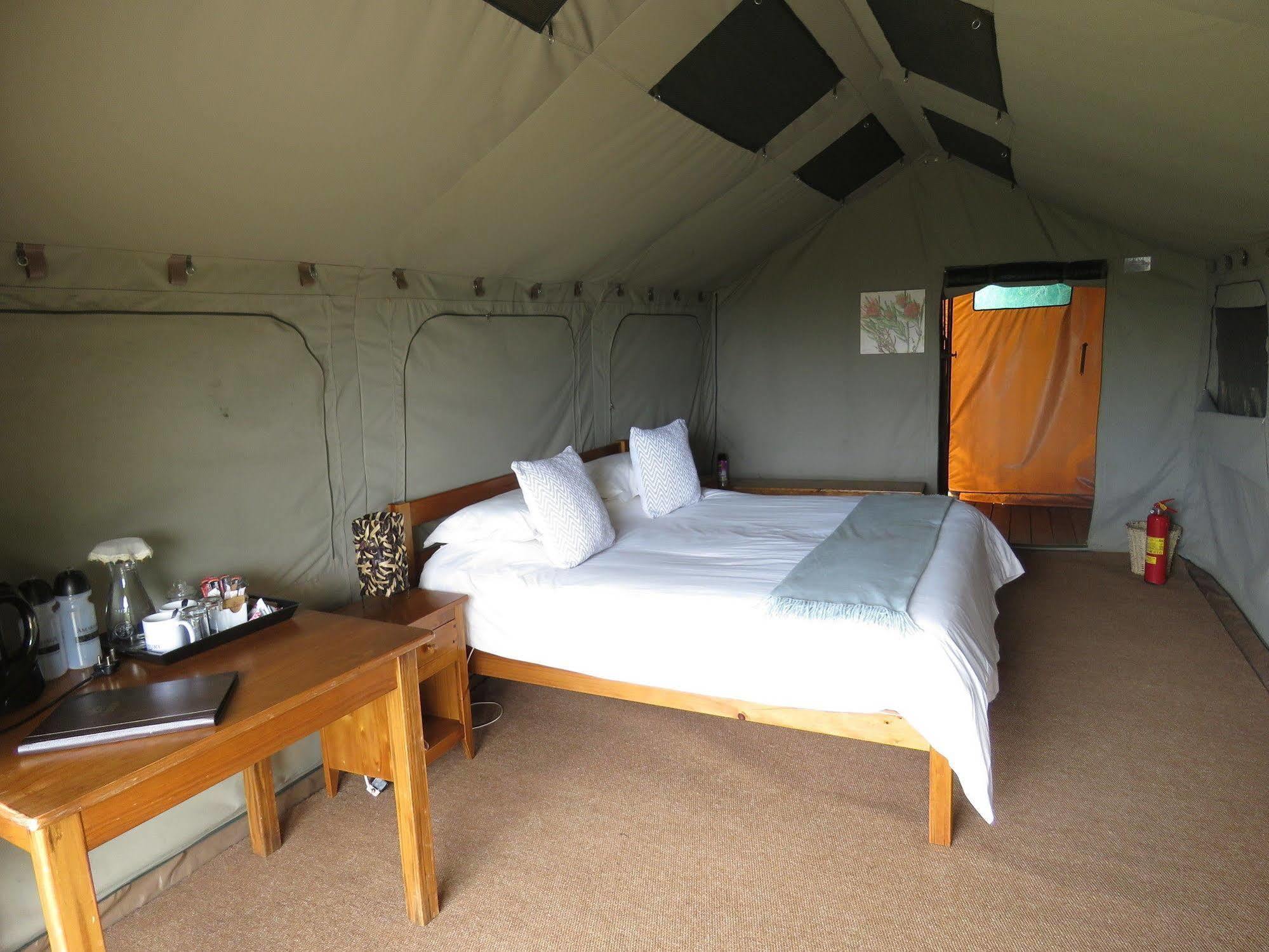 Woodbury Tented Camp - Amakhala Game Reserve Eksteriør billede