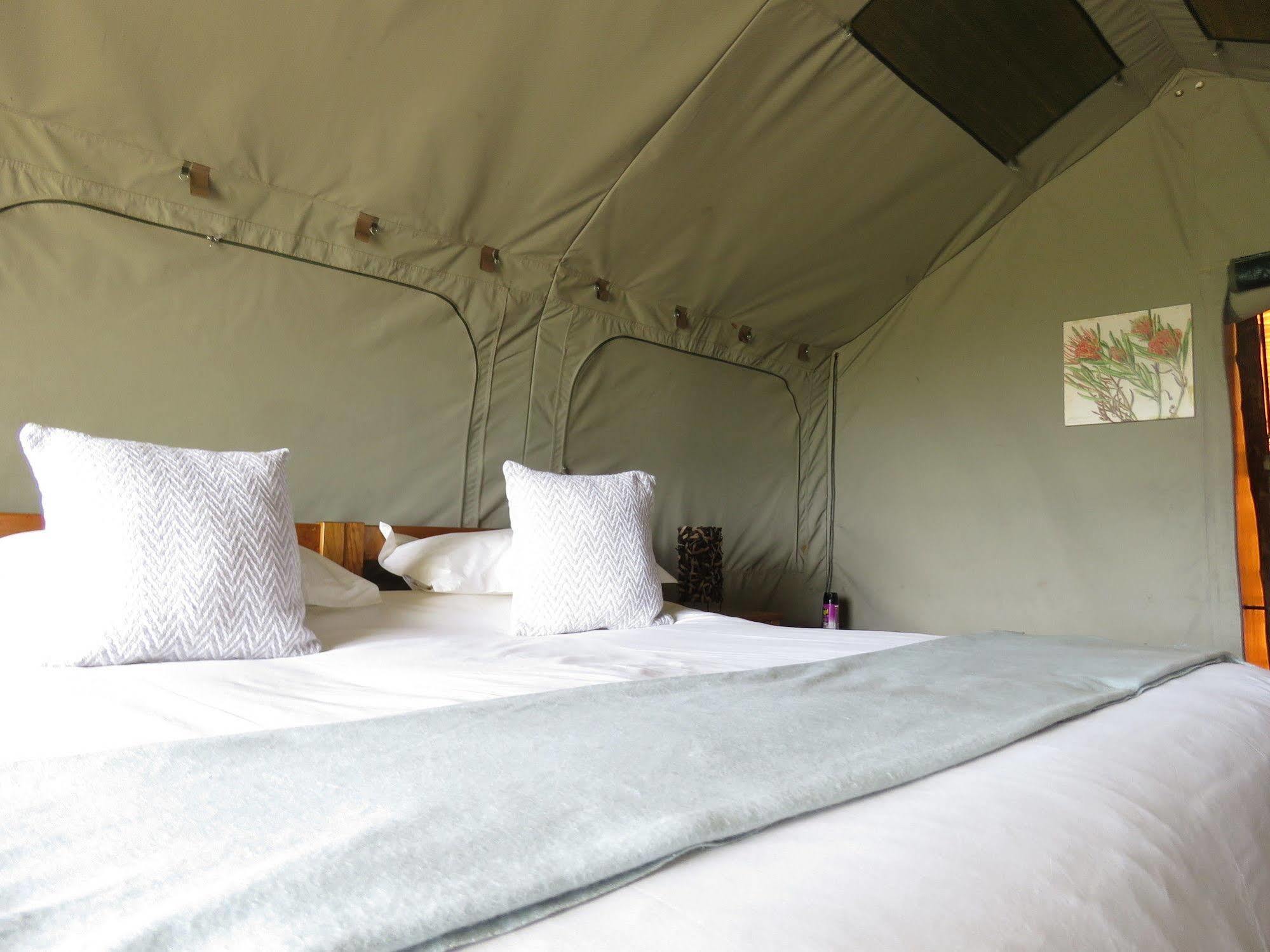 Woodbury Tented Camp - Amakhala Game Reserve Eksteriør billede